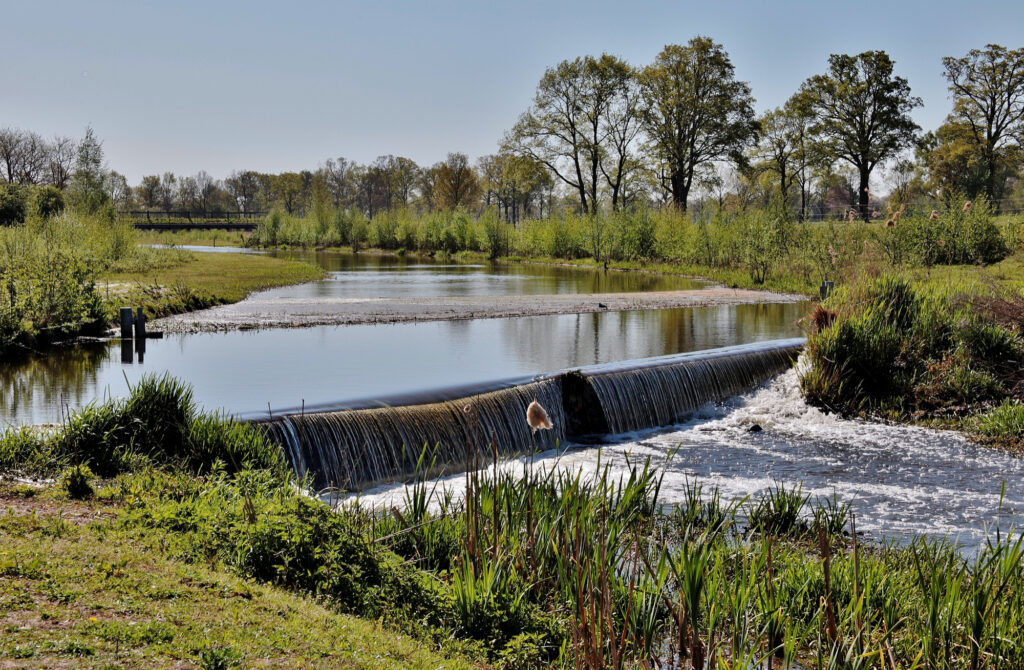 Sustainable Drainage System